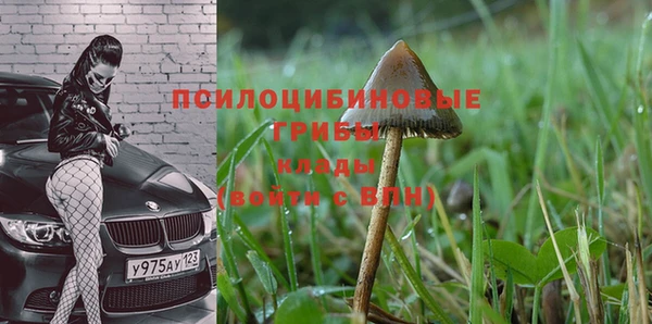 а пвп мука Алексин