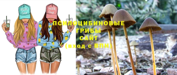 первитин Алексеевка