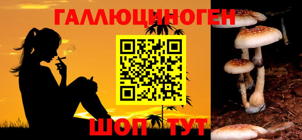 Рубцовск  Галлюциногенные грибы MAGIC MUSHROOMS  Вход с VPN 
